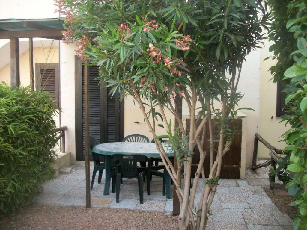 Casa Tavolara Apartment ซาน เตโอโดโร ภายนอก รูปภาพ
